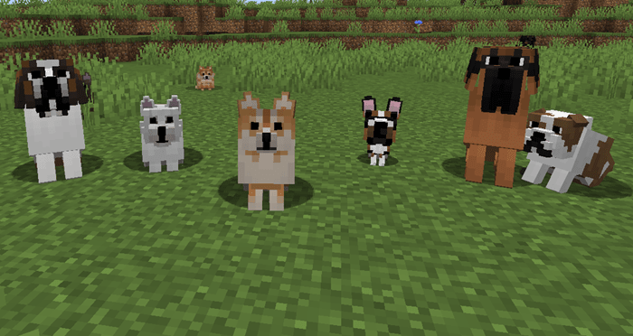 Better dogs for Minecraft download [All versions/Overview]